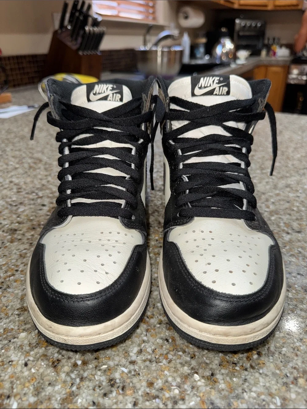 Nike Air Jordan 1 High Mocha